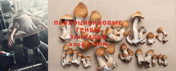 кристаллы Верхний Тагил